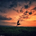 dailyPhoto34